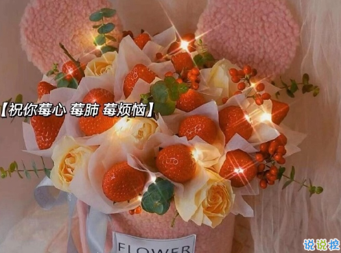 抖音超火冬天的第一顆草莓文案  莓心莓肺莓煩惱2