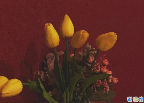 驚艷時光從容歲月的優(yōu)美句子 越看越喜歡的優(yōu)雅句子1