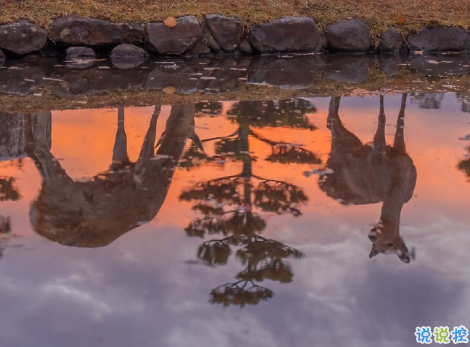 寫給2021的經(jīng)典說說帶圖片 很正能量的朋友圈文案3