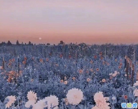 寫給2021的經(jīng)典說說帶圖片 很正能量的朋友圈文案14