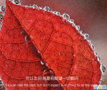 2021年超級(jí)勵(lì)志句子 給2021年帶來(lái)動(dòng)力的句子7