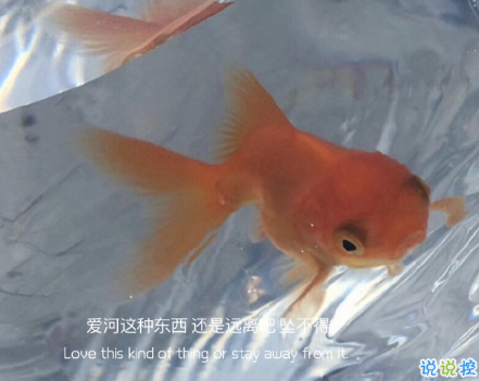 2021年超級(jí)勵(lì)志句子 給2021年帶來(lái)動(dòng)力的句子12