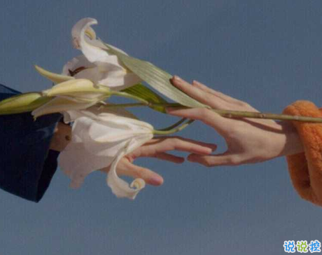 很隱晦低調的宣布分手的文案 很文藝優(yōu)雅的宣布分手說說1