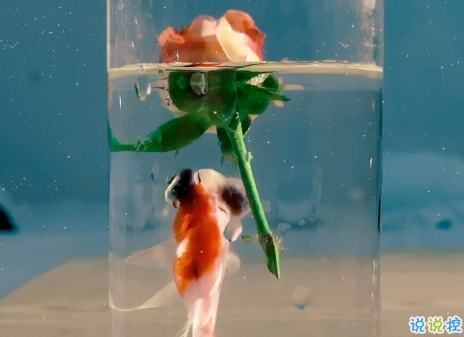 很隱晦低調的宣布分手的文案 很文藝優(yōu)雅的宣布分手說說7