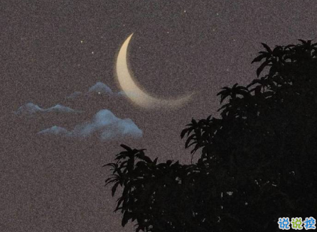 無關愛情的小眾文藝唯美文案 抖音簡約的配文句子2