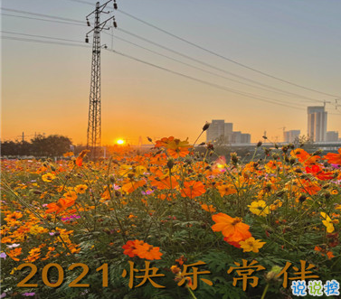 最新迎接元旦的說說 2021元旦跨年夜說說2