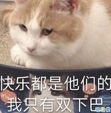 逗比女孩專屬的朋友圈文案 逗比沙雕文案合集2