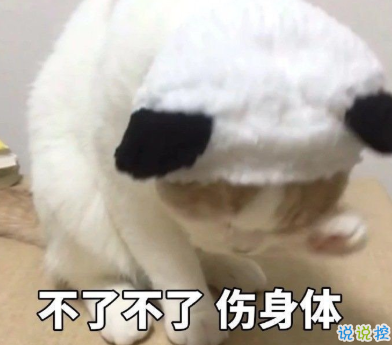 逗比女孩專屬的朋友圈文案 逗比沙雕文案合集1