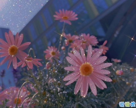 2020最后一天的句子 2020最后一天的傷感說說2