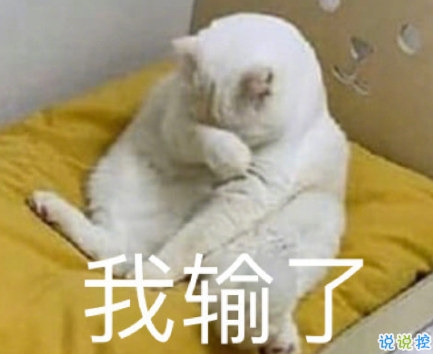 40句笑死人沙雕又可愛發(fā)朋友圈文案 2021最新的朋友圈沙雕文案2