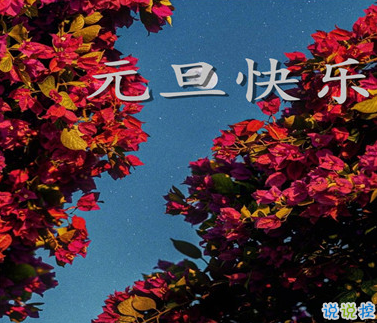 2021元旦跨年沙雕說(shuō)說(shuō) 2021最新跨年幽默說(shuō)說(shuō)1