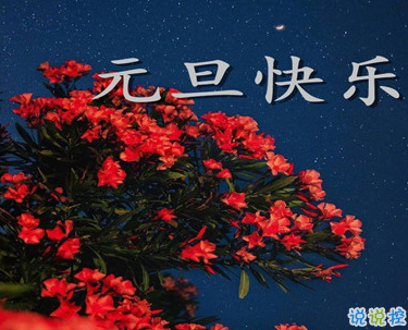 2021元旦跨年沙雕說(shuō)說(shuō) 2021最新跨年幽默說(shuō)說(shuō)2