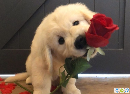 2021元旦第一天早安心語 迎接2021第一天的早安說說2