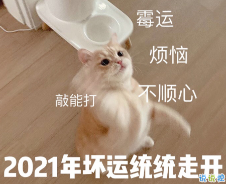 2021第一條朋友圈怎么發(fā) 2021一月心情文案1