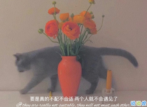 2021好好生活的治愈文案 很治愈內(nèi)心的溫柔文案2