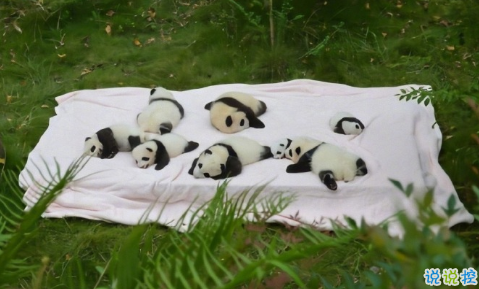 讓人笑到停不下來的憨憨朋友圈文案 超級幽默有趣的說說2