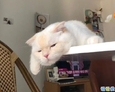 關于抑郁癥朋友圈說說帶圖片 很治愈的朋友圈文案11