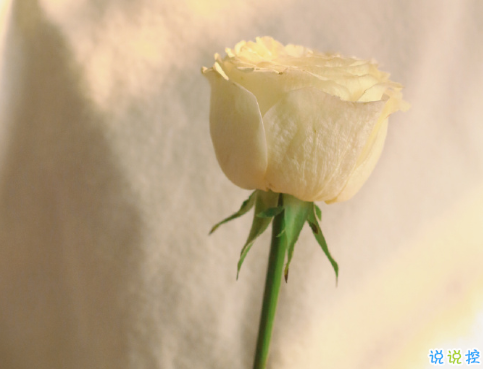 網(wǎng)易云最新觸動內(nèi)心的熱評 最溫柔的句子網(wǎng)易云熱評1