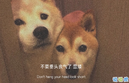 很喪的卻很驚艷的朋友圈文案 壓抑且溫柔的高質(zhì)量喪系文案2