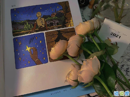  一些適合任何場景的萬能句子 優(yōu)雅又有深意的句子2