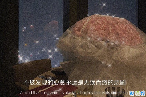 最溫柔的方式表達(dá)我喜歡你 深情而又婉約的別致句子2