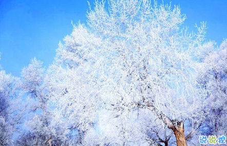 公務(wù)員發(fā)公文寫作首段佳句大全 寫作常用詞句大全2