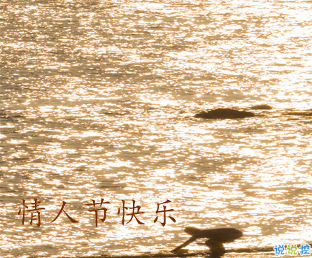 2021情人節(jié)表白成功的話 情人節(jié)超級甜蜜的表白文案1