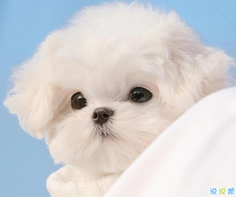 2021四九天早安心情語錄 四九天唯美早安正能量說說1