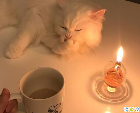 充滿心碎的遺憾文案 很戳心窩子的說說1