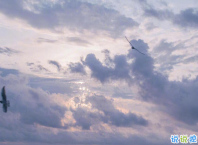很高級很有質(zhì)感的思戀文案帶圖片 高級表達自己思戀對方的句子1
