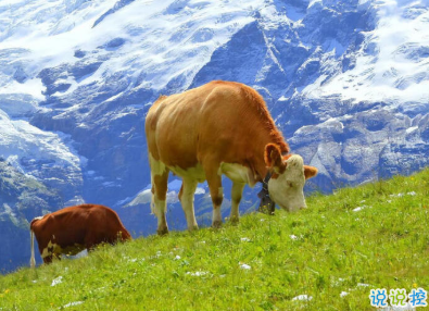 很高級很有質(zhì)感的思戀文案帶圖片 高級表達自己思戀對方的句子3