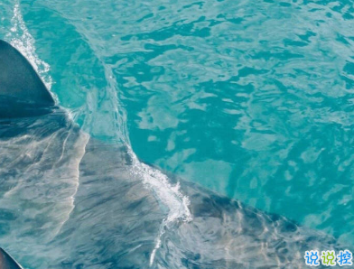 很高級很有質(zhì)感的思戀文案帶圖片 高級表達自己思戀對方的句子5