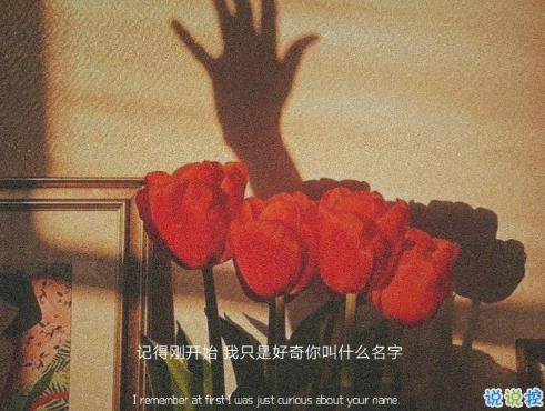 30條超級(jí)可愛的表白戀愛小句子 浪漫至極表白必備的文案1