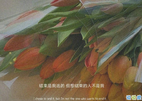 30條超級(jí)可愛的表白戀愛小句子 浪漫至極表白必備的文案2