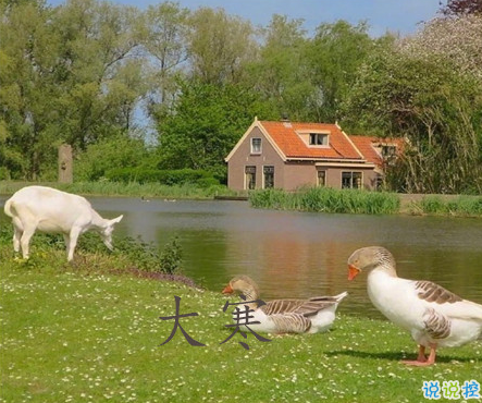 2021最新大寒句子帶圖片 大寒最經(jīng)典的祝福語5