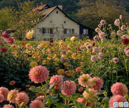 2021最新大寒句子帶圖片 大寒最經(jīng)典的祝福語6