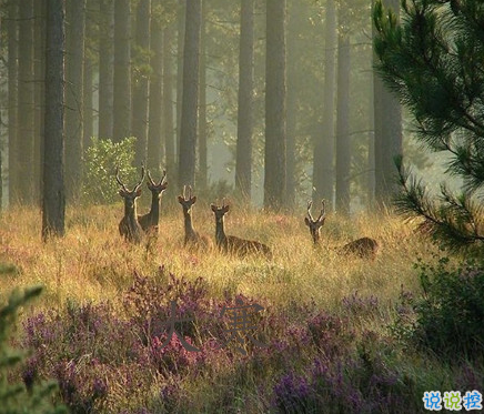 2021最新大寒句子帶圖片 大寒最經(jīng)典的祝福語8