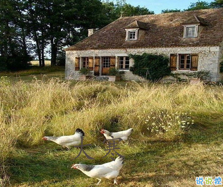 2021最新大寒句子帶圖片 大寒最經(jīng)典的祝福語12