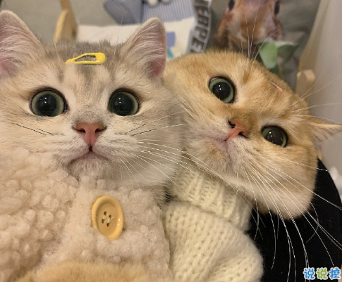 在生活中學(xué)會(huì)的一些事 很精辟的生活感悟語錄1