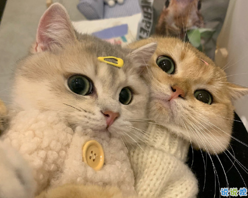 在生活中學(xué)會(huì)的一些事 很精辟的生活感悟語錄2