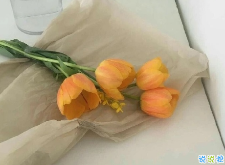 曬美食優(yōu)質(zhì)有趣的朋友圈文案 簡(jiǎn)短有趣的美食說(shuō)說(shuō)1