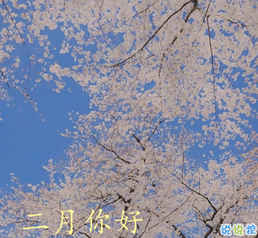 2021一月再見二月你好唯美心情說說 二月第一天早安說說1