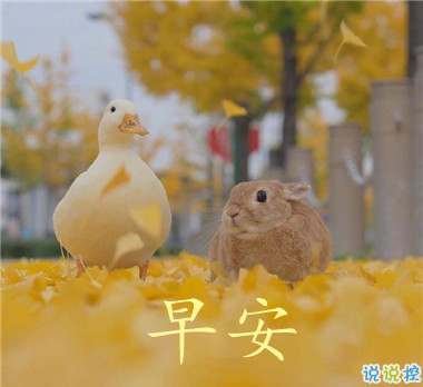 2021最新早安心情說說大全 2021讓人充滿正能量的早安說說1
