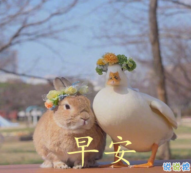 2021最新早安心情說說大全 2021讓人充滿正能量的早安說說2