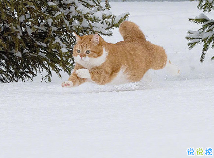 讓自己很清醒的說說 很經(jīng)典的透徹句子1