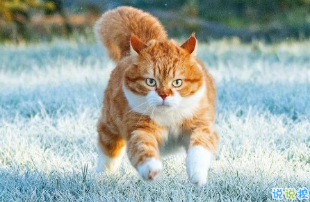 讓自己很清醒的說說 很經(jīng)典的透徹句子2