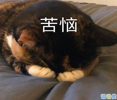 2021智障沙雕發(fā)說說帶圖片 看一次笑一次的說說1