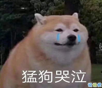 2021智障沙雕發(fā)說說帶圖片 看一次笑一次的說說3