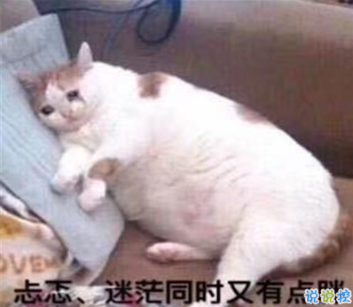 2021智障沙雕發(fā)說說帶圖片 看一次笑一次的說說9