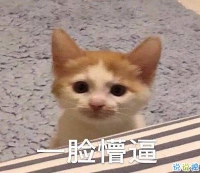 2021智障沙雕發(fā)說說帶圖片 看一次笑一次的說說12